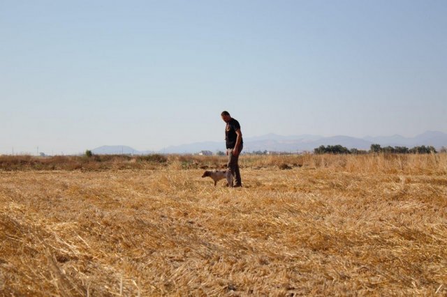 Αγωνες Α.Κ.Ι 18/6/2017